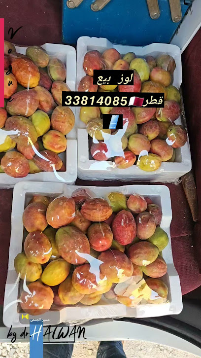 الخلف - Qatar|Doha|Unnamed Road|6FXF+2V8