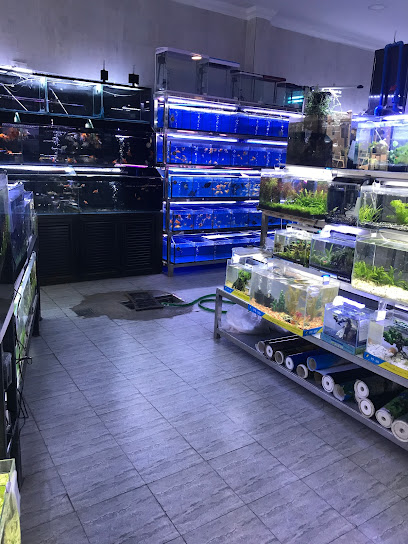 Al Buhaira Fish shop - Qatar|Doha|Street|7FFX+9CH