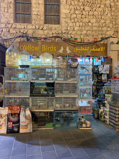 Yellow Birds - Qatar|Al Wakrah|5J95+PC9