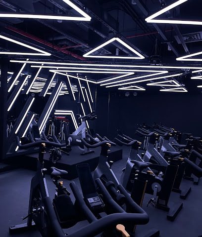 ARENA Fitness - Ladies Only - Doha - +974 5559 5667