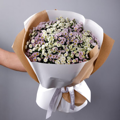 Black Tulip Flowers WLL - Online Flower Delivery & Wholesale - Doha - Doha - +974 5577 7902