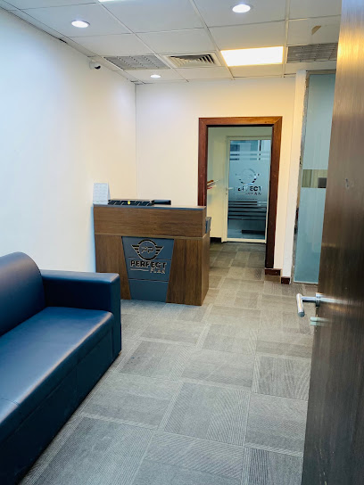 Perfect Plan Business Management Consultant - Doha