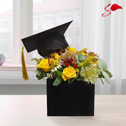 Petals Qatar - Flowers & Plants Shop - Doha - +974 6620 9933