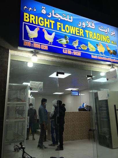 Bright flower trading - Qatar|Doha|Sikkat Al Salah St،|7G9R+9MX