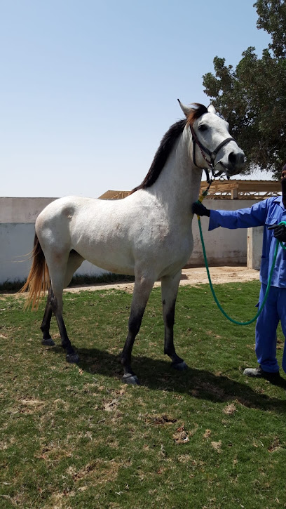 اسطبل برزان - Qatar|Al Khor|مزرعة ١٦٠