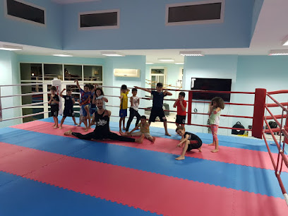 Franck Bohec boxing Doha Qatar - Al Wakrah - +974 7778 3095