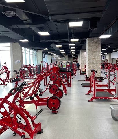 Dallah men Gym - Al Wakrah - +974 4442 2917
