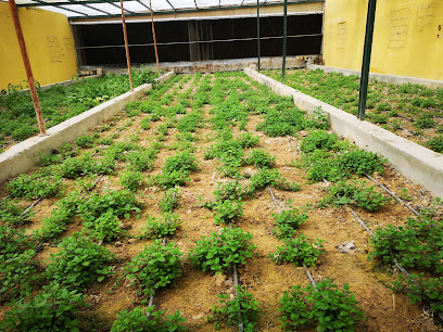 QWA Green House - الدوحة - +974 5551 7998