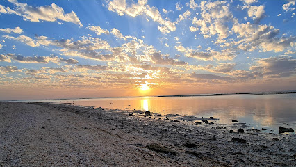 أم باب -  -