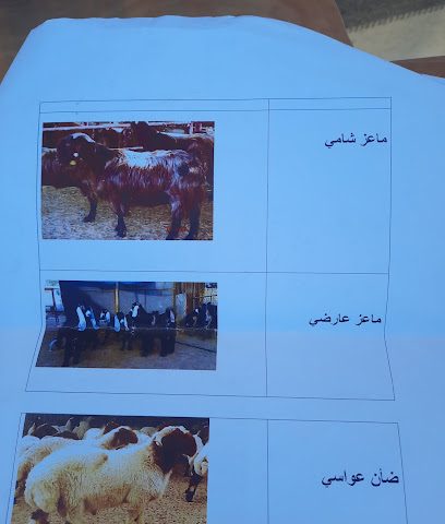 مجمع عزب الخور - الريان -