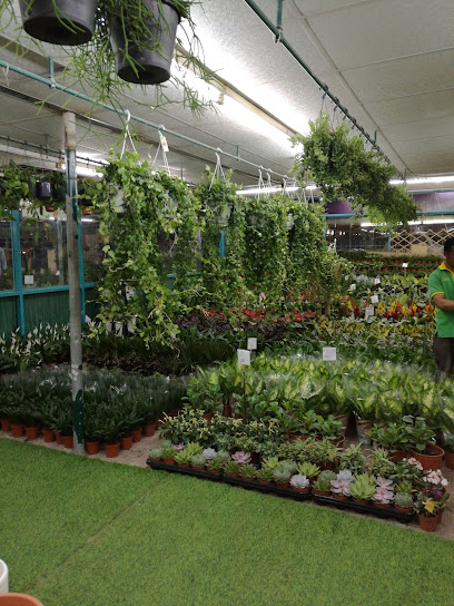 FLORANZA INTERNATIONAL NURSERY WLL مشتل فلورنزا العالمي - Qatar|Doha|Haloul