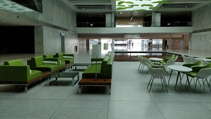 مقهى العنكبوت - الوكير - +974 4470 7000