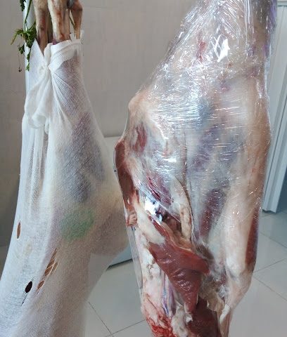 انها. - الوكرة - +974 5007 0767