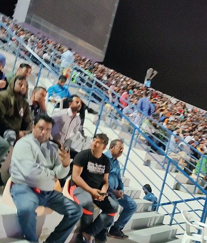 فن فيل - قرية بروة -  - +974 4415 3590