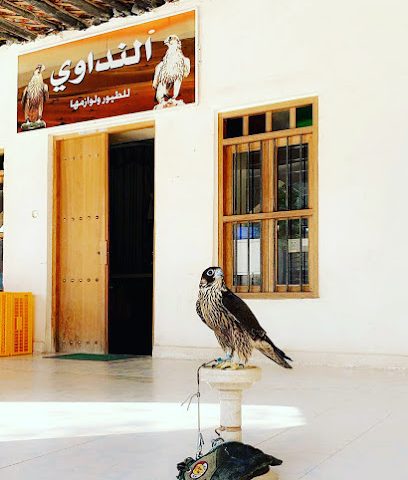النداوي للصقور - الوكرة - +974 5599 5007