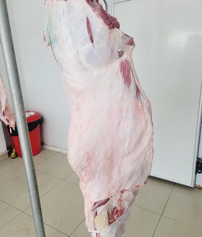 ملحمة الكرم - الوكرة - +974 6669 2219