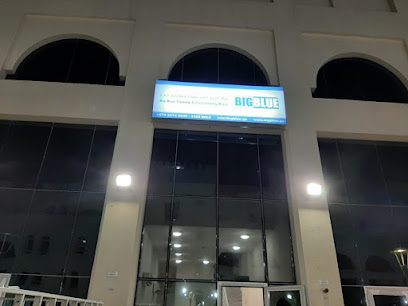 بيج بلو للتجارة والمقاولات - الوكرة - +974 3372 8945